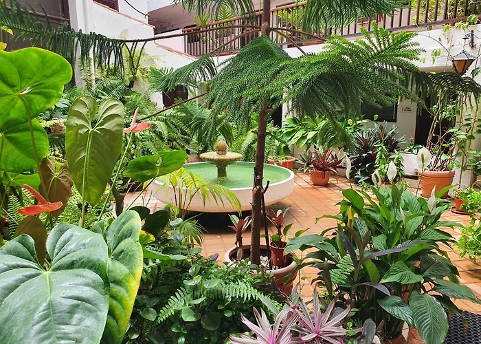 Marina * פוארטו דה לה קרוז